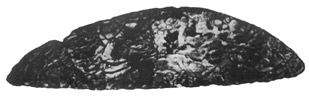 Steinerne Säge, um 3500 vor Chr.